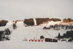 1995-03-Hafjell