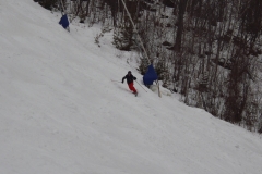 2016-02-20-ST-DG-carve-5330