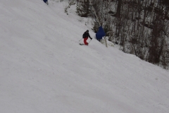2016-02-20-ST-DG-carve-5333