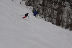 2016-02-20-ST-DG-carve-5336